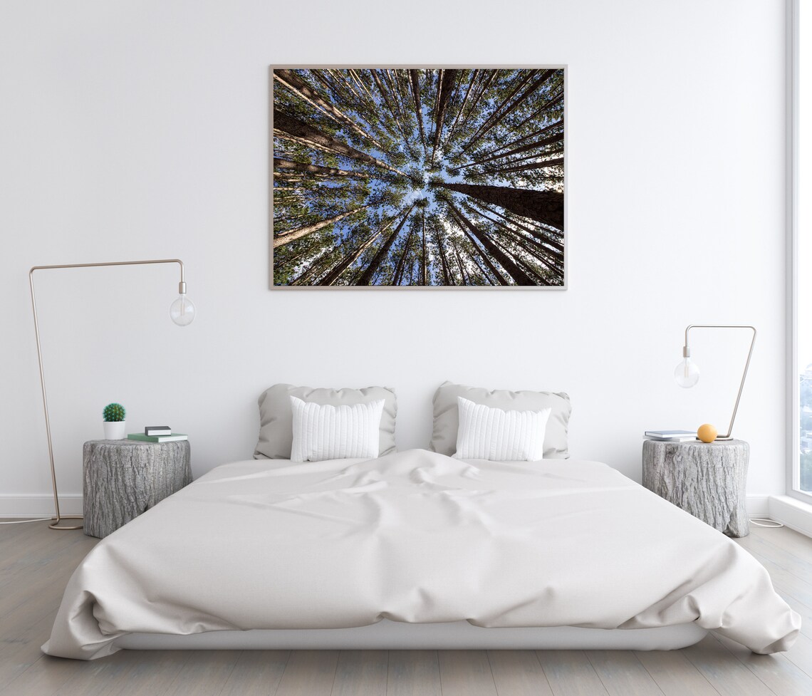Infinite Trees PRINT, Abstract Tree Print, Large Tree Print, Forest ...