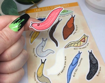 Land Slugs Sticker Sheet - Nature Cute Educational Planning Journaling Stationery Slug Peelable Cottagecore Sticker Book Earth Bugs