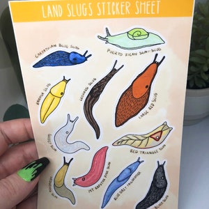 Land Slugs Sticker Sheet Nature Cute Educational Planning Journaling Stationery Slug Peelable Cottagecore Sticker Book Earth Bugs image 2