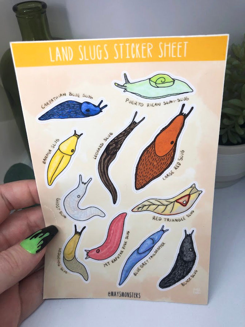 Land Slugs Sticker Sheet Nature Cute Educational Planning Journaling Stationery Slug Peelable Cottagecore Sticker Book Earth Bugs image 2