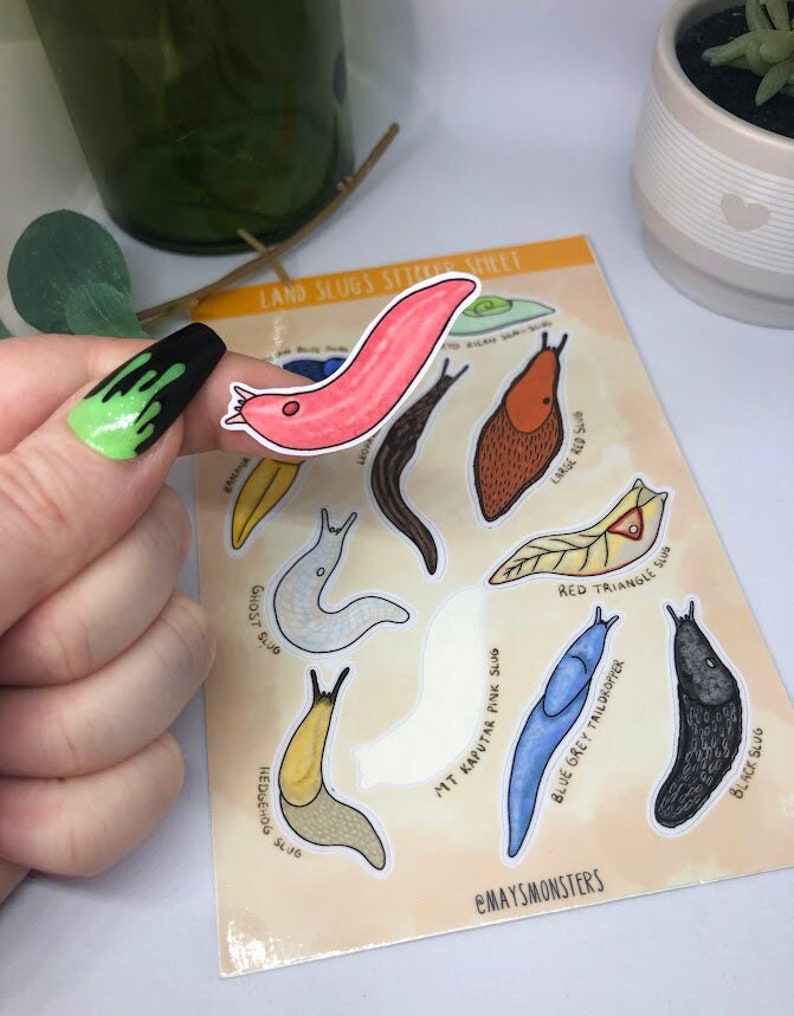 Land Slugs Sticker Sheet Nature Cute Educational Planning Journaling Stationery Slug Peelable Cottagecore Sticker Book Earth Bugs image 1