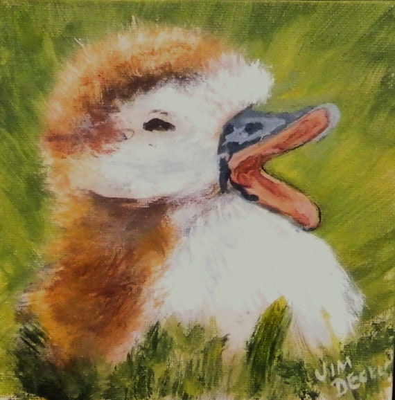 SPRING DUCK Painting