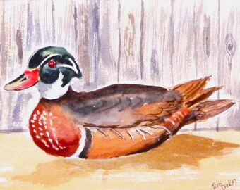 DUCK DECOY Painting