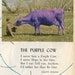 PRINTABLE Purple Cow Poem Digital Download by Gelett Burges - Etsy Canada