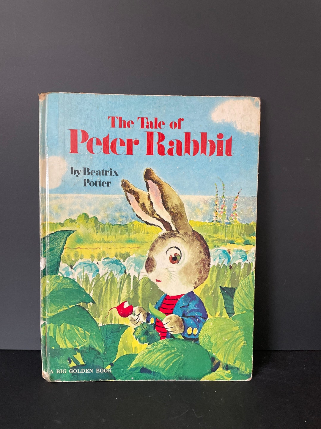 Tale of Peter Rabbit by Beatrix Potter, Illustrated by Rod Ruth— Golden ...