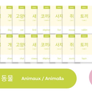 May include: A set of 12 flashcards featuring animal names in Korean, English, and French. The flashcards are yellow with green borders and feature illustrations of a cat, dog, bird, elephant, lion, mouse, rabbit, and the word "animal".