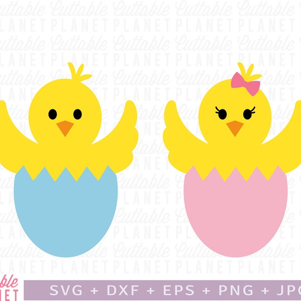 Chick hatching svg, chick in egg svg, dxf, eps, png, jpg, easter chicken clipart, baby chick svg, instant download, commercial use