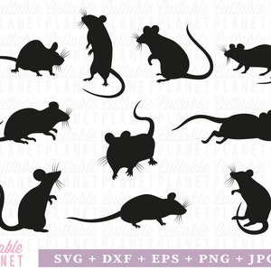 Silueta de ratas svg, dxf, eps, png, jpg, rata con bigote svg, decoración de rata de Halloween svg, archivo de rata svg, rata de ratón svg