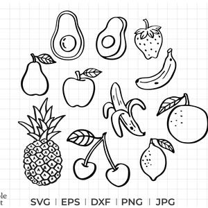 Pacchetto SVG di frutta estiva / Clipart di contorni di frutta disegnati a mano per Cricut, sublimazione, adesivi e design digitale, file SVG di frutta, PNG di frutta
