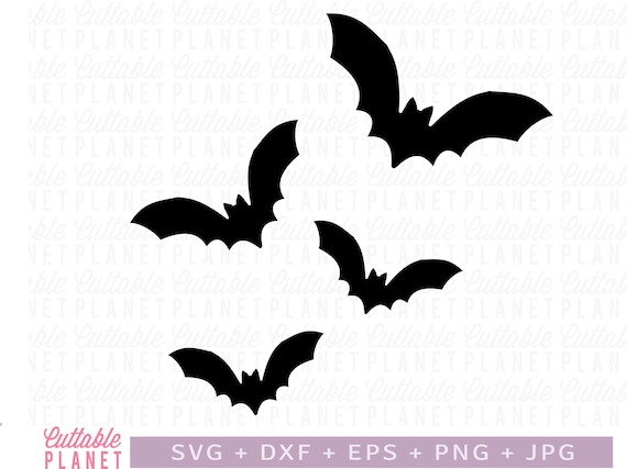 Halloween bat png images