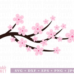Kirschblüten Zweig svg, dxf, eps, png, jpg, Kirschblüte svg, Kirschblüte svg, Kirschblüte png, Kirschblüten Clip art, sakura Blume svg