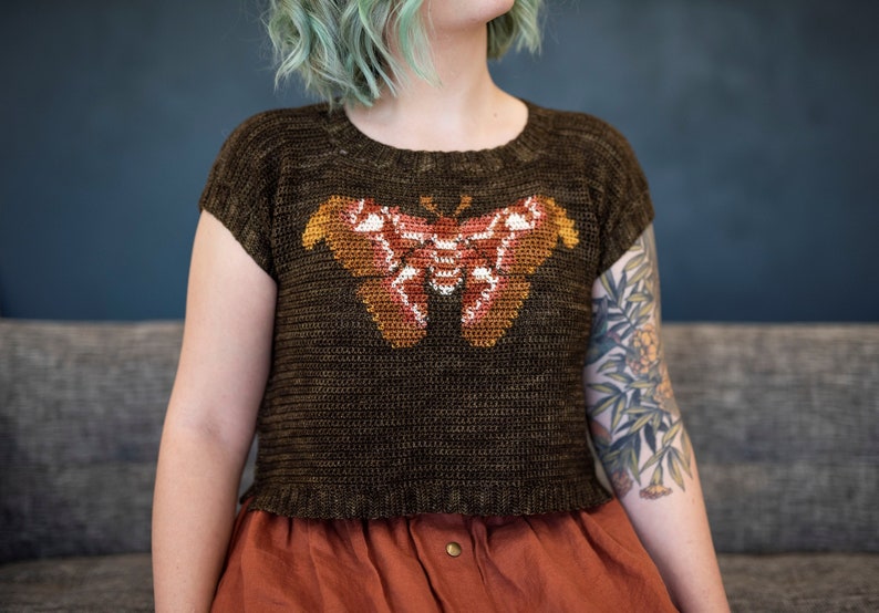 May include: A brown crocheted sweater with a colorful butterfly design. The sweater has short sleeves and a cropped length.