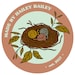 Hailey Bailey