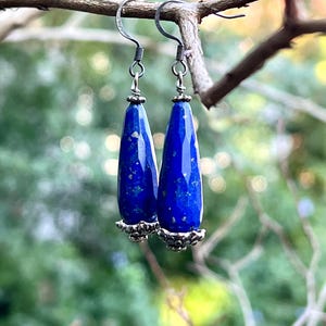 May include: A pair of lapis lazuli earrings with silver-colored hooks and decorative caps. The earrings are a deep blue color with flecks of gold, and are hanging from a tree branch against a blurred green background.