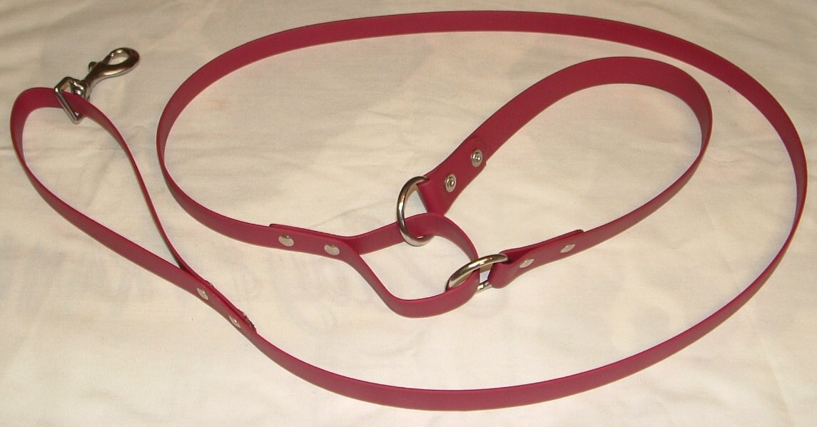 Martingale Leash Martingale Lead Beta Leash Biothane Leash Etsy