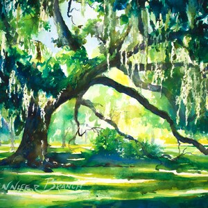 Live Oak Print Landscape Painting | Etsy