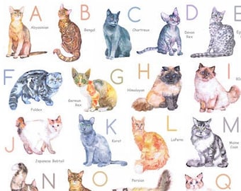 Cat  Alphabet Poster, Cat breeds Watercolor Nursery Wall Art, Cat lover gift, Classroom posters