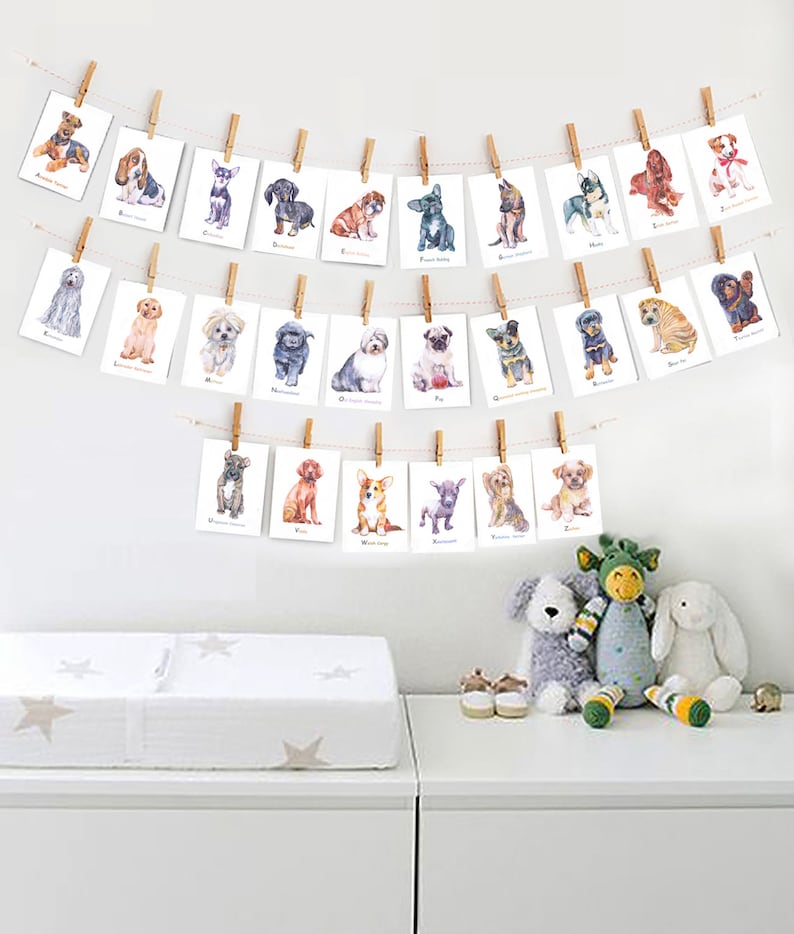 May include: A set of 26 alphabet flashcards featuring watercolor illustrations of different dog breeds. Each card has a letter of the alphabet and a corresponding dog breed. The cards are hung on a string with clothespins.