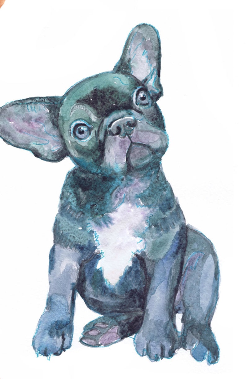 May include: Watercolor painting of a black and white French bulldog puppy sitting and looking up. The puppy has blue eyes and a white patch on its chest.