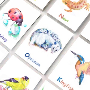 Woodland Alphabet Cards  - 26  Animals Watercolor cards A -Z flashcards, ABC Flash Cards