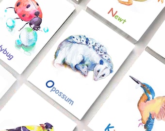 May include: A set of watercolour animal flashcards featuring a raccoon, toad, newt, ladybug, opossum, kingfisher, finch, and dragonfly. Each card has the animal's name written below the illustration.