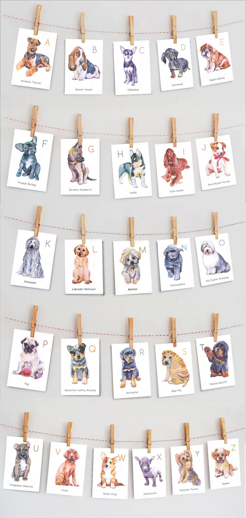 May include: A colorful alphabet chart featuring watercolor illustrations of different dog breeds. Each letter is paired with a dog breed name, such as Airedale Terrier, Basset Hound, Chihuahua, Dachshund, and English Bulldog.