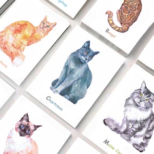 Cats alphabet cards Cat Breeds cards set,  Cat Painting Watercolor