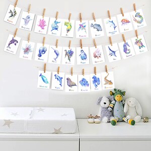 May include: A set of 26 alphabet flashcards featuring watercolor illustrations of sea creatures. Each card has a letter of the alphabet and the name of a sea creature that starts with that letter. The cards are hung on a string with clothespins.