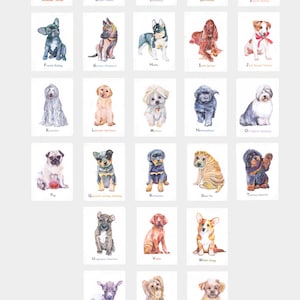 May include: A colorful alphabet chart featuring watercolor illustrations of different dog breeds. Each letter is paired with a dog breed name, such as A for Airedale Terrier, B for Basset Hound, and so on. The chart is designed for children and includes the text "Valentina Ra for Baby With Love".