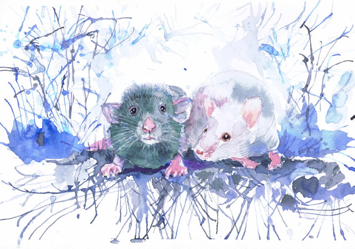 Mouse Art Pet Rat Painting Rodent Watercolor Print Mouse Etsy Australia
