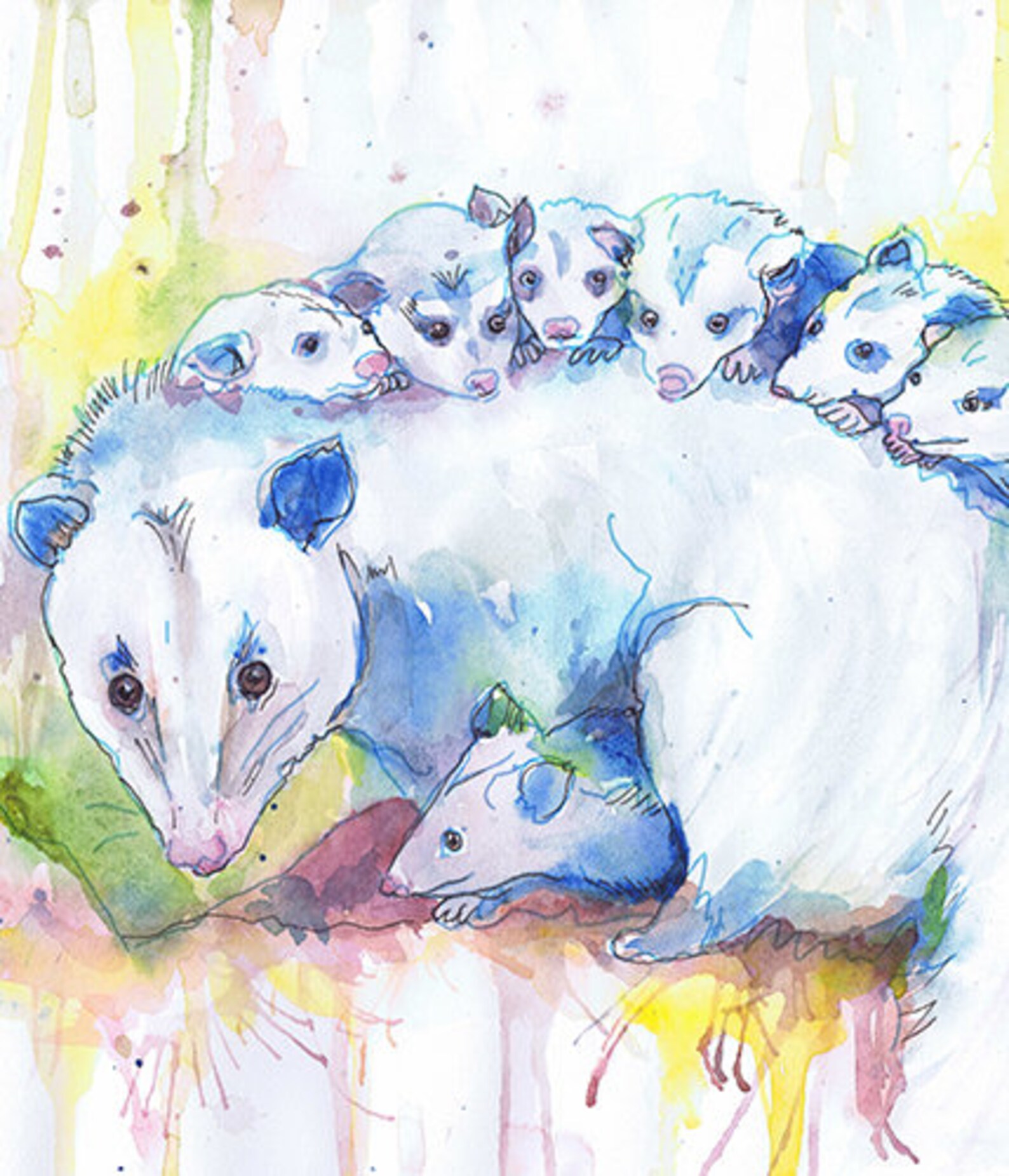 Opossum Animal Art Possum Watercolor Painting Woodland Nursery | Etsy