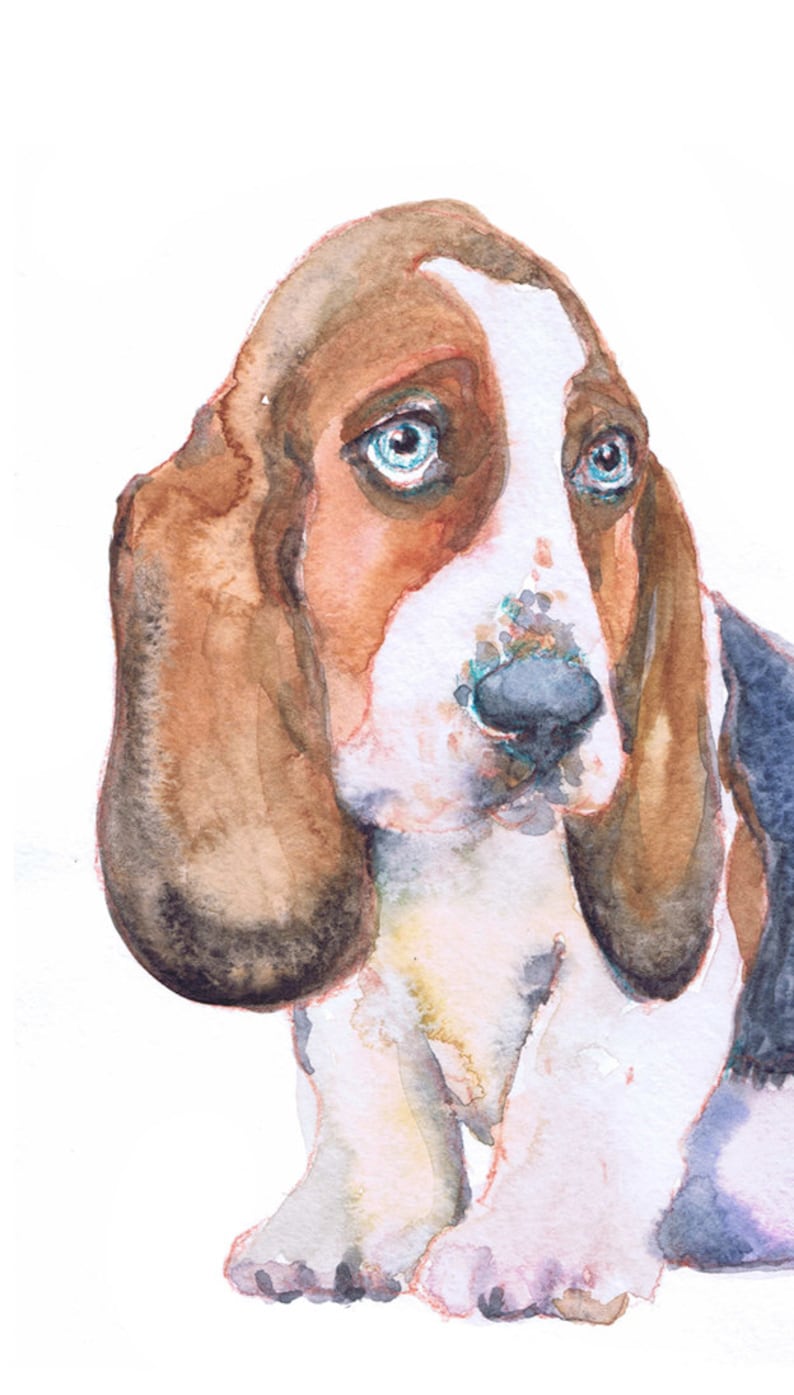 May include: Watercolor painting of a basset hound with brown and white fur, large floppy ears, and blue eyes. The dog is looking to the side with a sad expression.