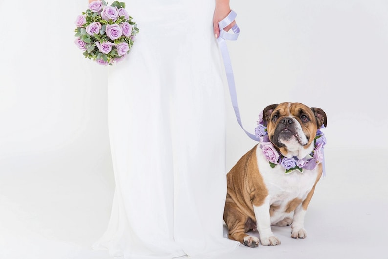 lilac and white Flower Dog Collar for Weddings /'Lilac Rose Design/'