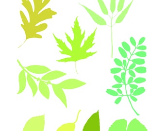 Decorative ClipArt Leaves SVG Set of 9