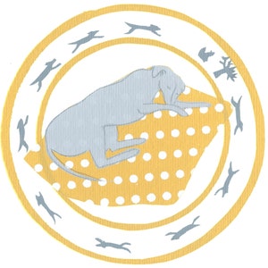 Confezione da quattro carte canine assortite.