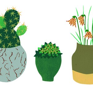 Un pack de quatre cartes pour l’amoureux des plantes !