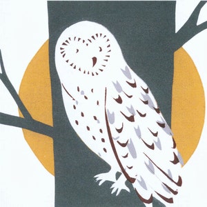 Pack of four assorted bird cards.