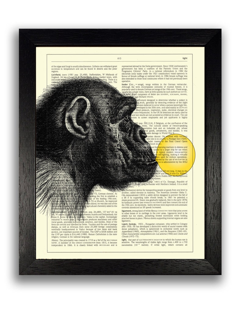 Monkey With Yellow Bubblegum Poster Funny Bedroom Wall Art Chimp Art Print Funny Gift Men Boys Bubblegum Poster Dictionary Print Art