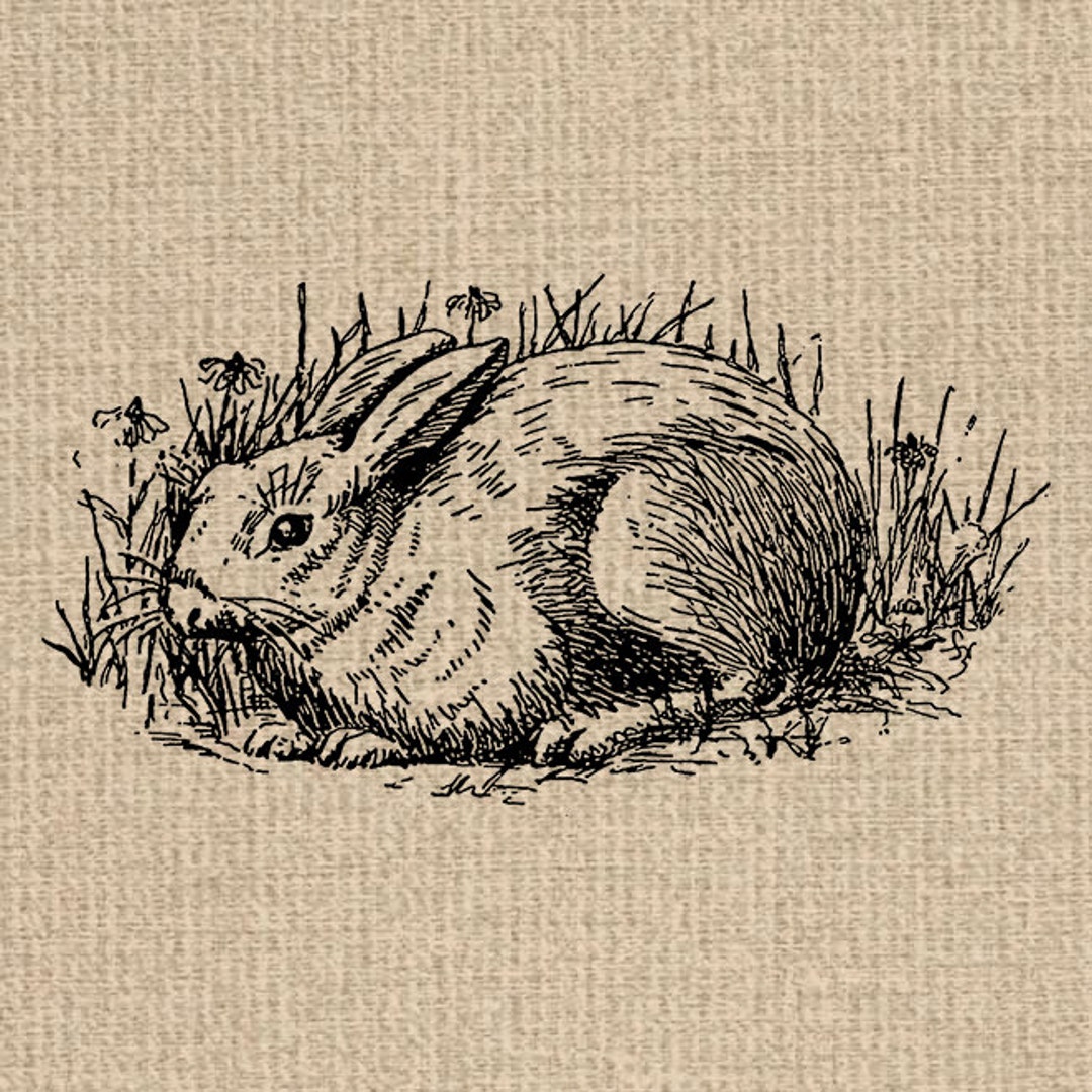 INSTANT DOWNLOAD Printable Rabbit Images Rabbit Graphics - Etsy