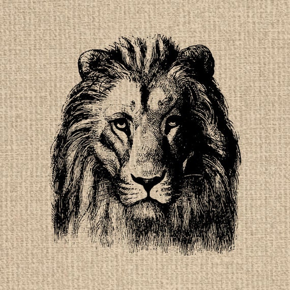 Druckbare Lowe Bilder Lowen Grafiken Lowe Clipart Lowe Etsy