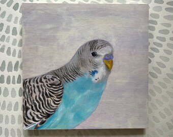 Blue budgie bird painting on white- original acrylic painting on 8x8 wood panel.