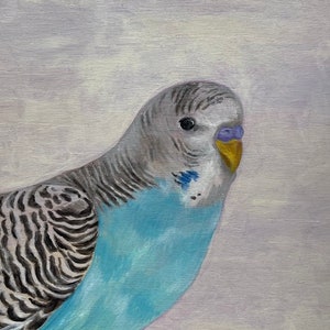 Blue budgie bird painting on white- original acrylic painting on 8x8 wood panel.