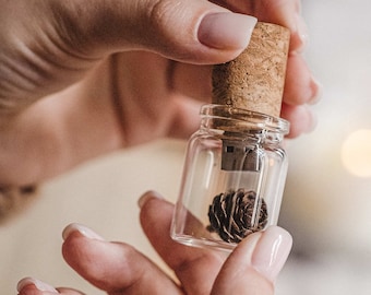 Bouteille en verre, clé USB et pomme de pin, clé USB de mariage pour photographes, clé USB en bocal, clé USB 3.0 en liège