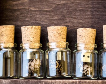 USB Flash Drive Memory Stick USB keys Cork & Bottle size 8gb, 16gb, 32gb, wedding, gift, with a small, real pine cone in the middle