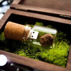 Personalized Wooden USB box walnut with optional USB Flash Drive Cork & Bottle 8gb 16gb 32gb 64gb and free decorative moss filling
