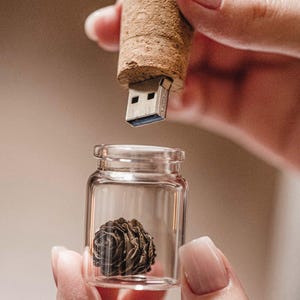 May include: A small, brown, dried pine cone is inside a clear glass jar with a cork top. A USB drive is shown being removed from the cork top.