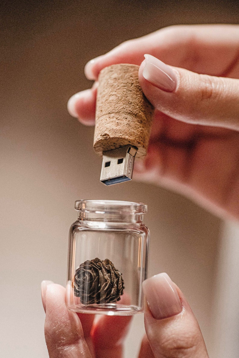 Glass Bottle USB Flash Drive and Pine Cone, Wedding USB for Photographers, Jar Thumb Pendrive, Cork USB 3.0 Stick image 5