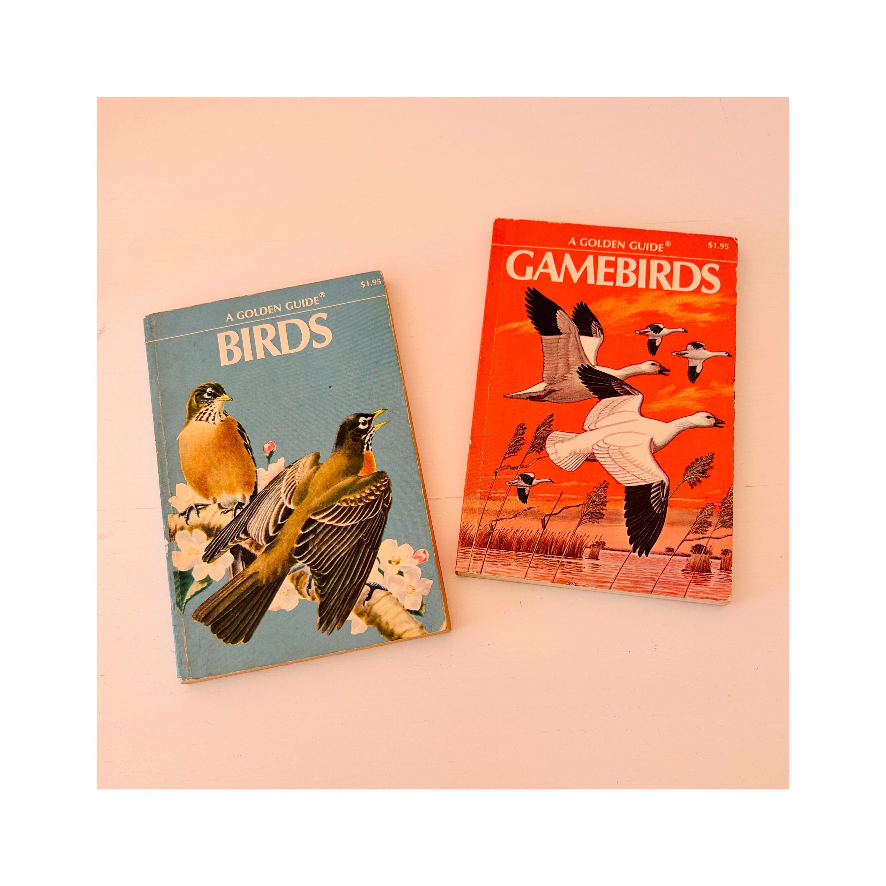 Pocket Bird Guide - Etsy
