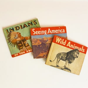 Vintage 1930s children&#39;s book collection // Rand McNally nonfiction picture books // Art Deco America, Animals, Native Americans kids&#39; books
