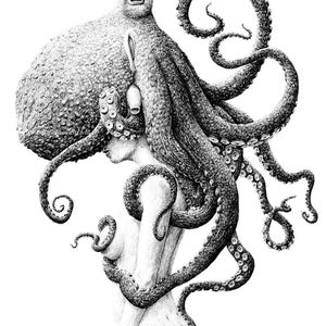 postcard Octopus